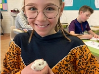 Foto bij artikel Dierenlogeerweek