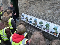 Foto bij artikel Boomplantdag