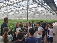 Foto bij artikel Groene schooldagen