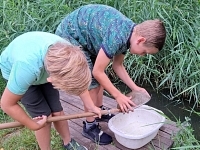 Foto bij artikel Groene Schooldagen