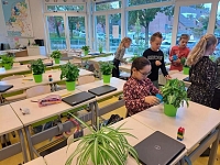 Foto bij artikel Binnenbos