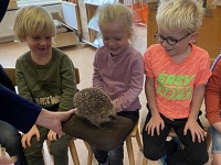 Foto bij artikel Egels op bezoek