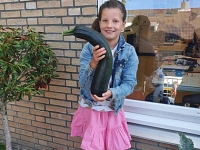 Foto bij artikel Moestuin