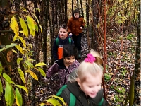 Foto bij artikel Herfstwandeling